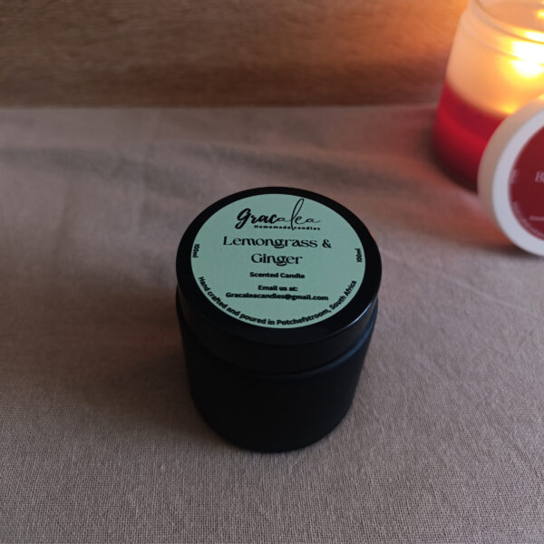 Lemongrass & Ginger (100ml)